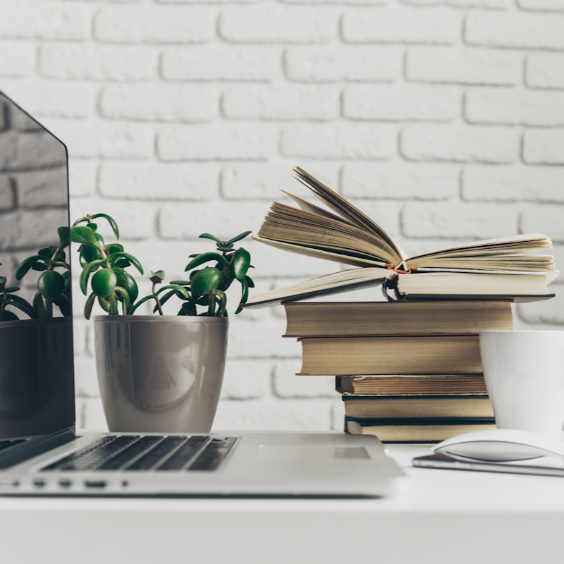 Laptop, books, coffee and plant